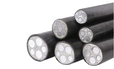 未 命名 图片-2023-05-19T161954.381