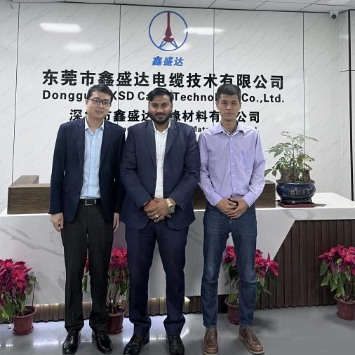 يزور العميل الهندي XSD - استكشاف فرص تعاون مشروع تخزين الطاقة