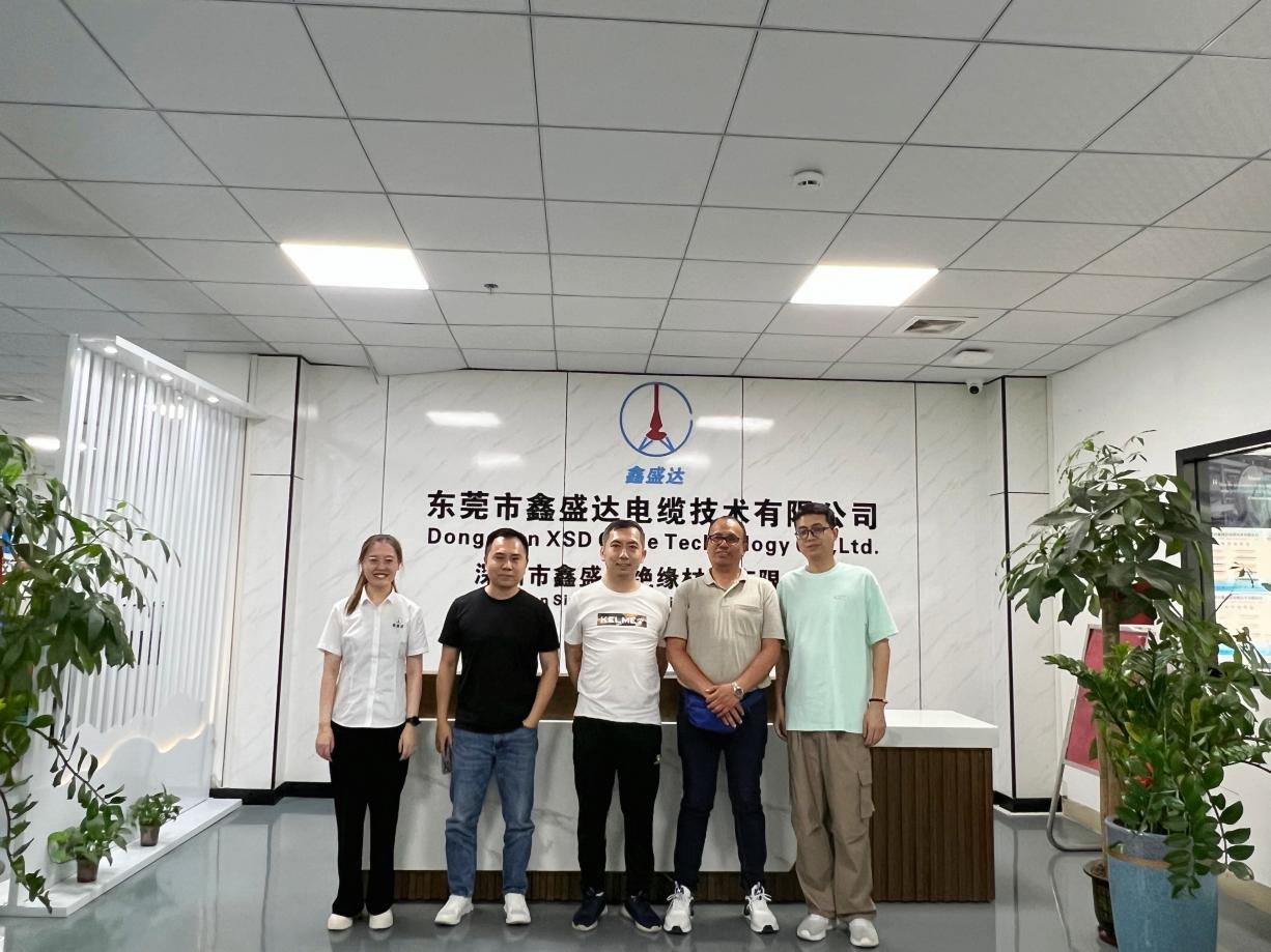 كابل XSD: عرض إمكانات معالجة الأسلاك والكابلات الاستثنائية