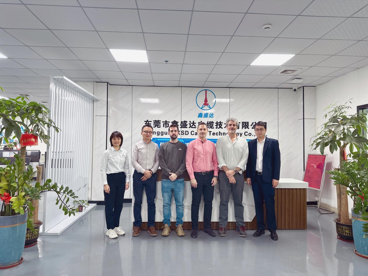 يزور العميل الإسباني كابل XSD للتشاور مع إنتاج ما قبل الكتلة