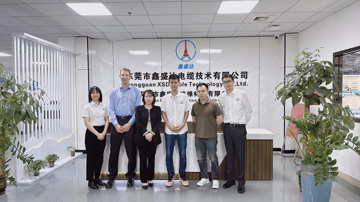 التعاون الناجح بين كابل XSD وعميل الطاقة الألمانية الجديدة