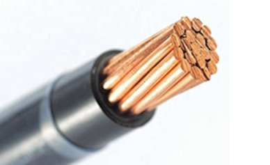 كابل XSD: كبل النايلون يستخدم في عملية المفاهيم الخاطئة التي تم تجاهلها بسهولة