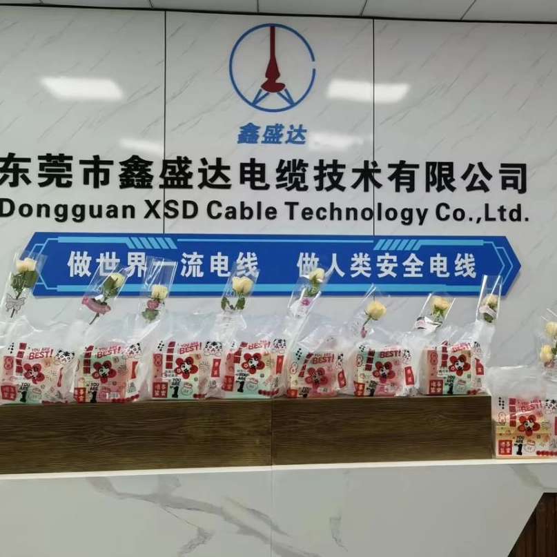 الاحتفال بنساءنا في القوى العاملة: يوم المرأة الدولي في كابل XSD